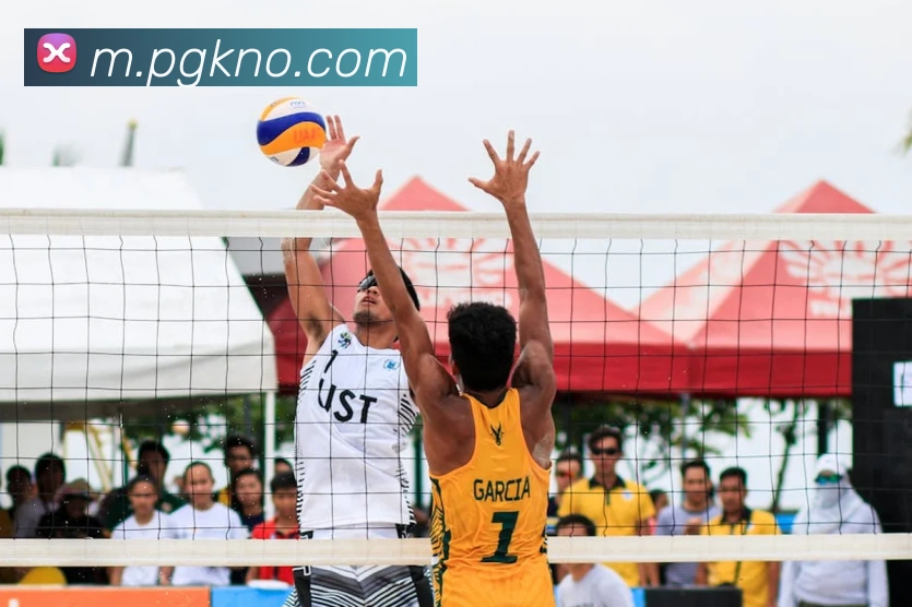 澳门新葡京官方入口品牌故事