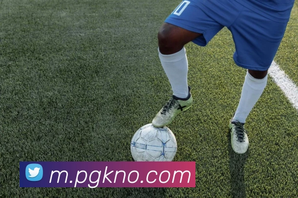 澳门新葡京官方入口服务体系